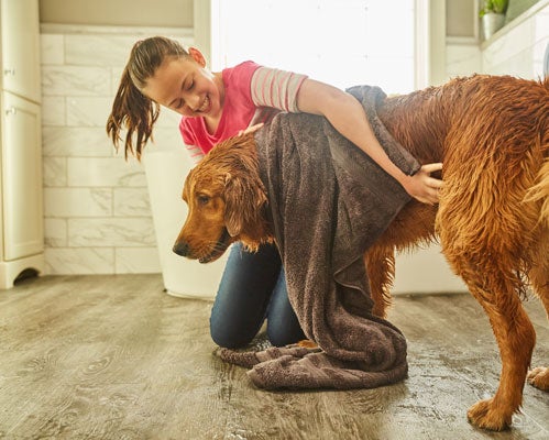 The Beginner's Guide to Pet-Friendly Carpet - Empire Today Blog