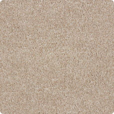 Grand Reserve Lantana Cream Plush Carpet product swatch