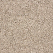 Grand Reserve Lantana Cream Plush Carpet product swatch