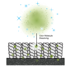 HOME fresh odor disolving molecule