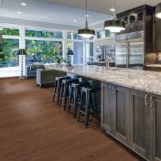 Elk Grove vinyl plank room scene