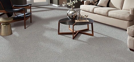 home fresh carpet one and only