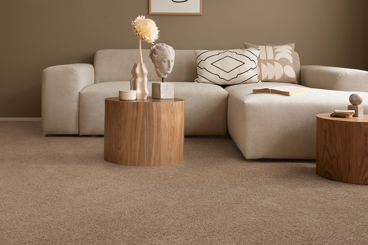 brown_carpet_living_room brown_carpet_living_room