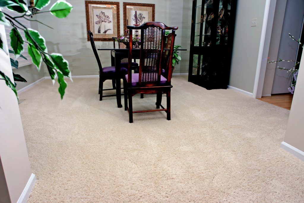 Best Carpets That Hide Stains And