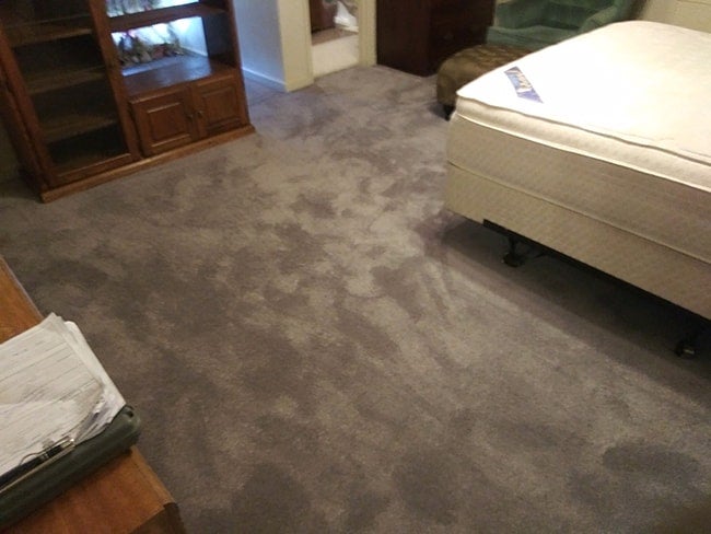 plush carpet in the bedroom 