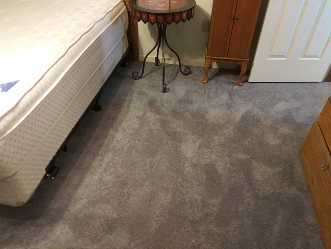 plush carpet in the bedroom