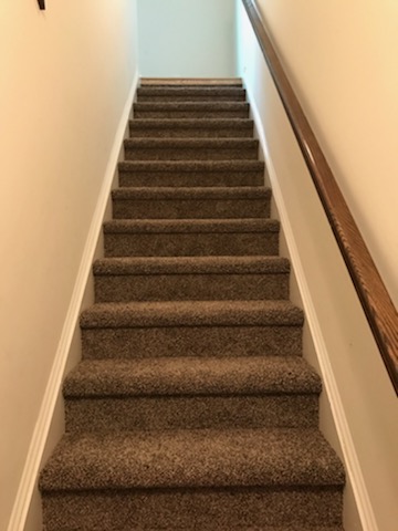 plush carpet on the stairs