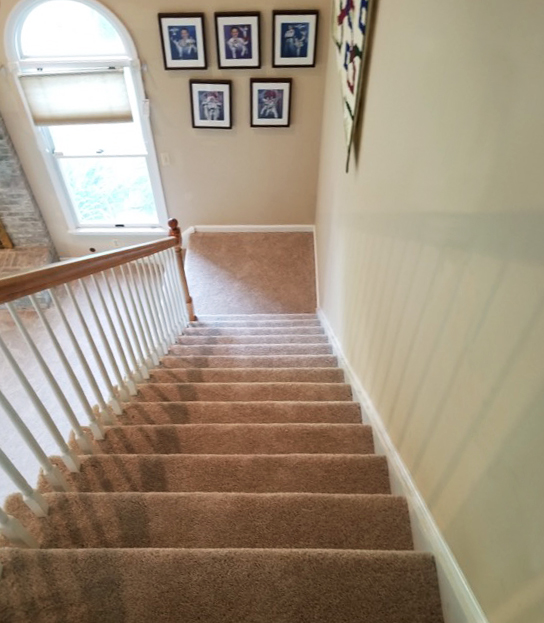 plush carpet stairs