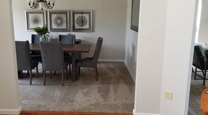 carpet in the dining room