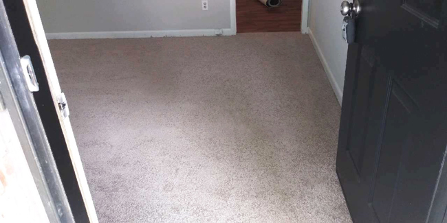 plush carpet in the bedroom 