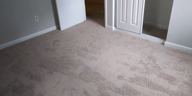 plush carpet in the bedroom 