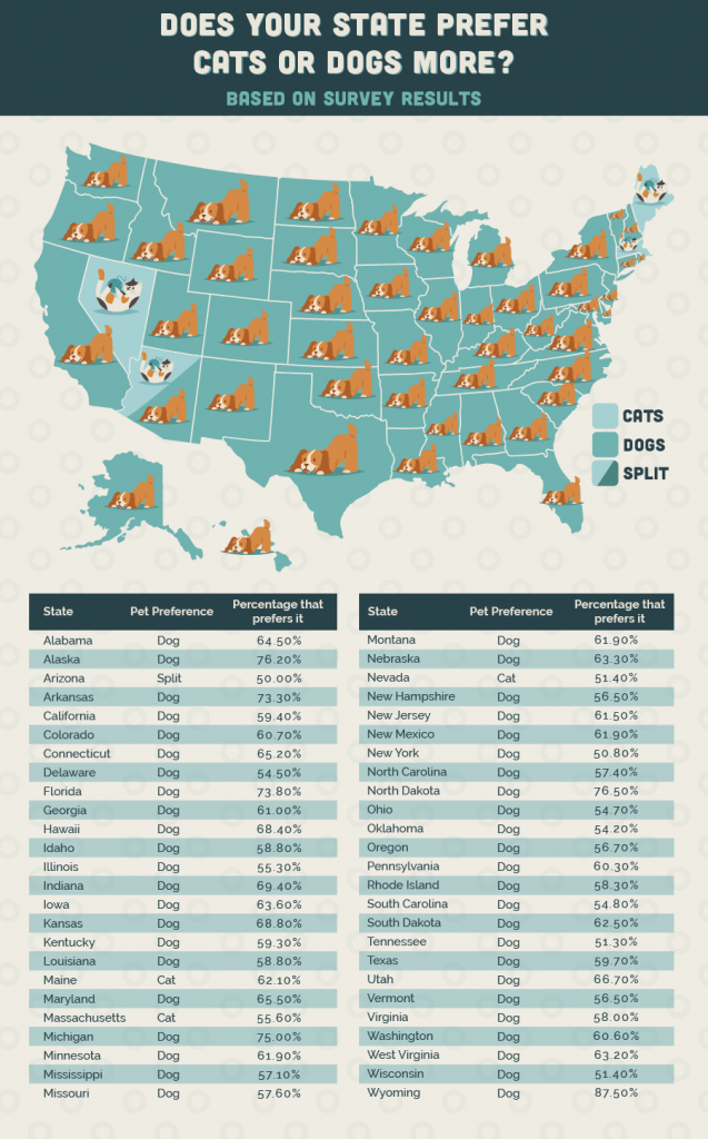 map showing whether states prefer dogs or cats