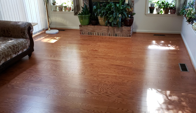 100% Waterproof Vinyl Plank Flooring Gives Home an Updated Look | Empire  Today Blog