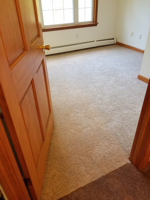 plush carpet in home