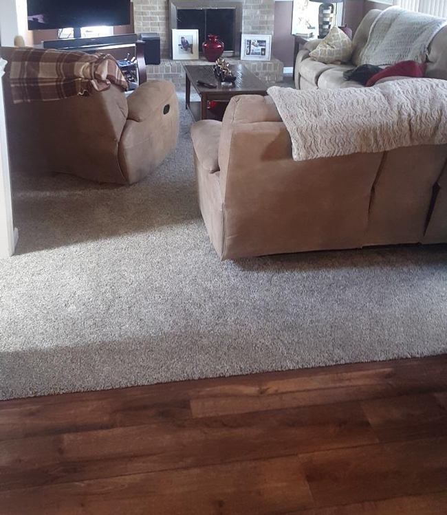 plush carpet in the living room