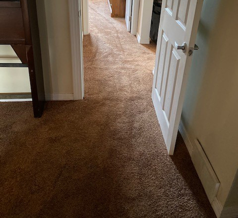 plush carpet in home