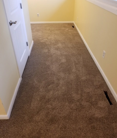 carpet in home