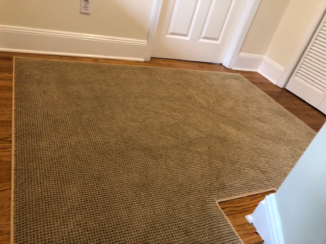 carpet in home