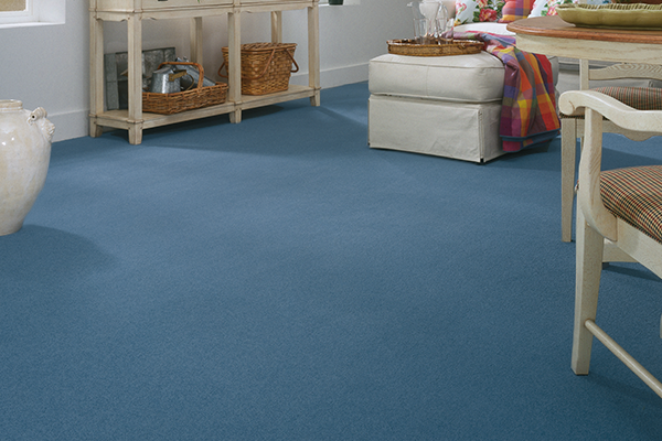 blue carpet in the family room 