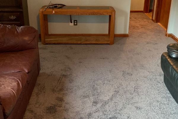 plush carpet in a living room
