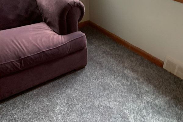 plush carpet in a living room