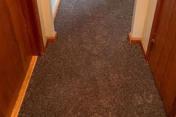 plush carpet in a hallway