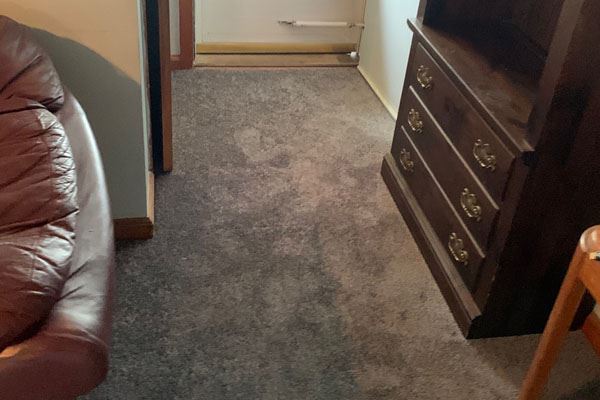 plush carpet in a hallway