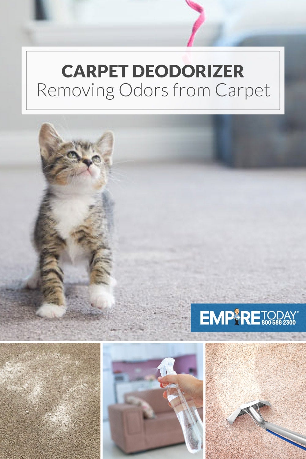 Does Carpet Deodorizer Really Remove Odors from Carpet? Empire Today Blog